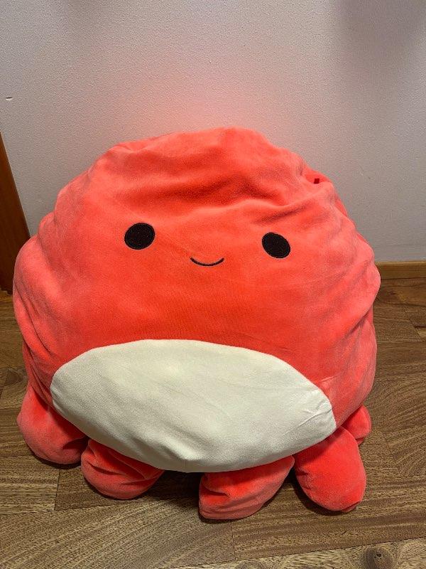 Squishmallows bangsi rauður